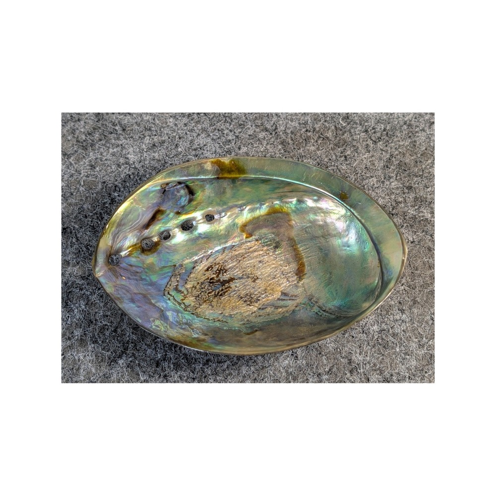 Natural Polished Abalone Shell Iridescent Paua Smudge Bowl Decor 5.5 Inch